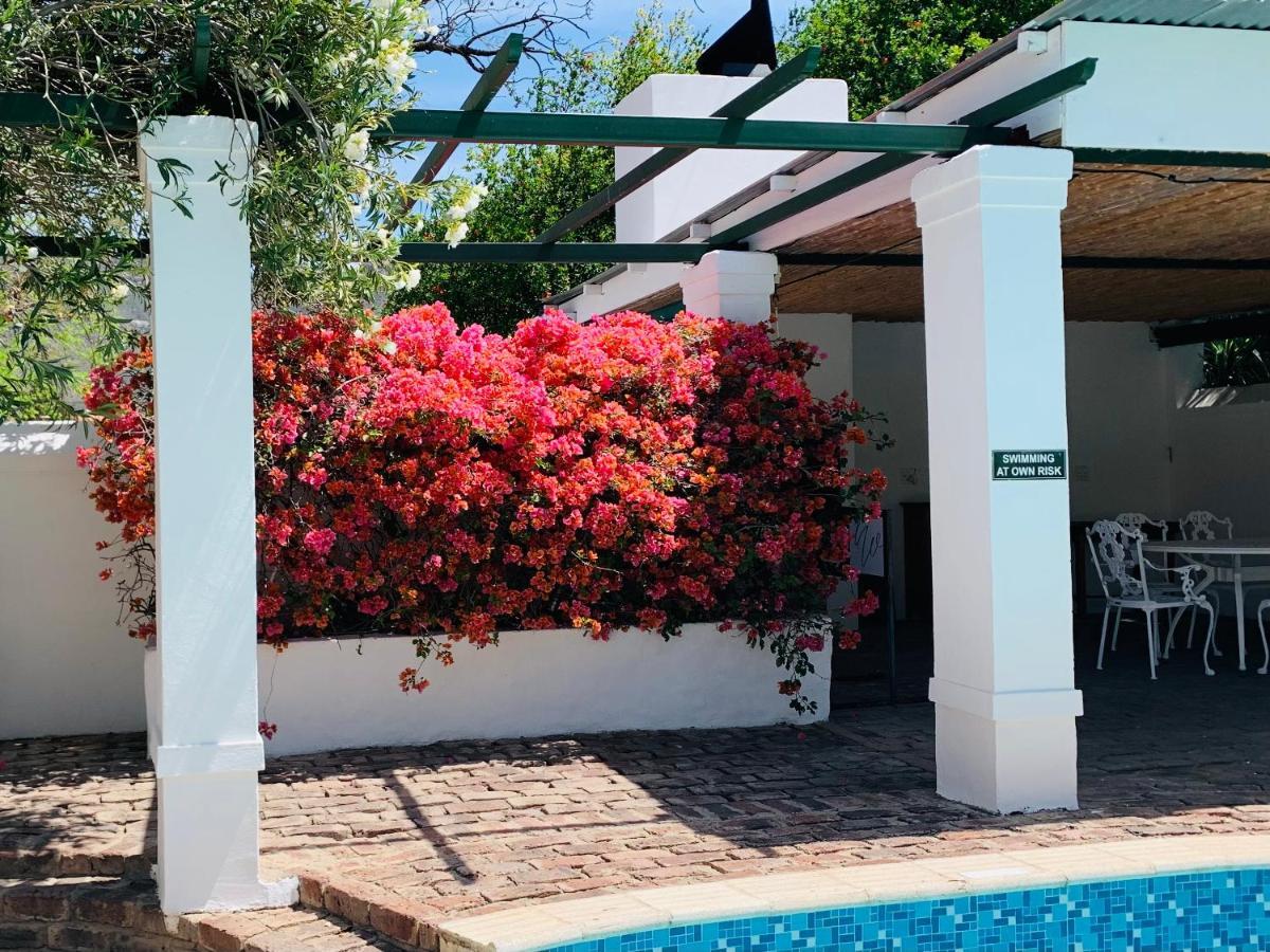 De Wingerd B & B กราฟฟ์-เรเน็ต ภายนอก รูปภาพ